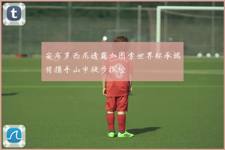 安布罗西尼透露加图索世界杯承诺将携手山中徒步探险