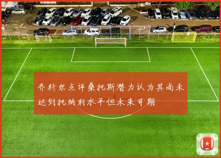 乔科尔点评桑托斯潜力认为其尚未达到托纳利水平但未来可期